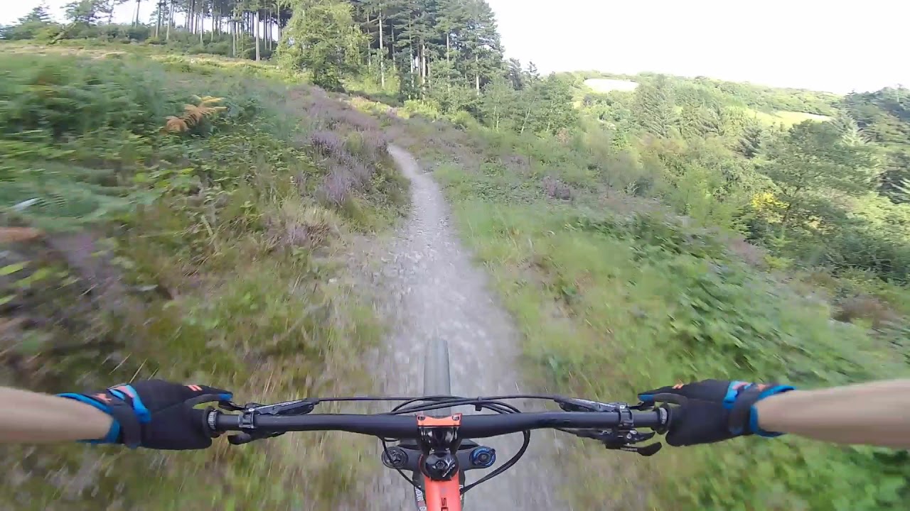 cardinham woods mtb