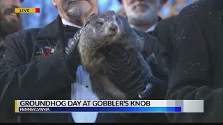 Groundhog Day 2020 in Pennsylvania