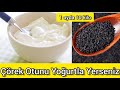 1 Ayda 10 kilo Ver | Mucize Gibi Yoğurt ve Çörek Otu Karışımı