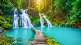 Relaxing Music For Stress Relief, Anxiety and Depressive States • Heal Mind, Body and Soul screenshot 1
