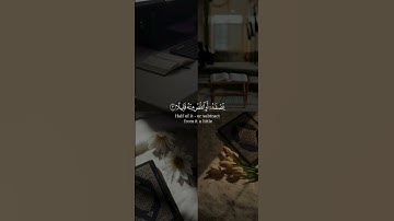 يا أيها المزمل.قم الليل إلا قليلاً - #سورة_المزمل بصوت القارئ#عمر_ضياء_الدين