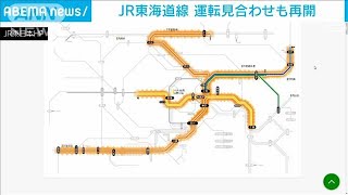 JR東海道線で全線運転再開　直通運転は見合わせ続く(2021年11月8日)