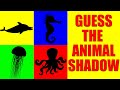 Guess the Ocean Animal from Their Shadow | Quiz Game for Kids, Preschoolers and Kindergarten