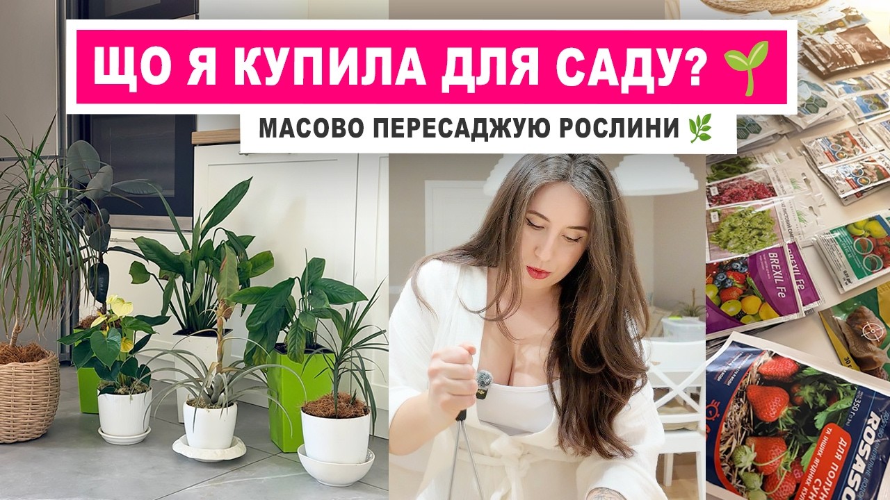 Мотивація на домашні справи 🌱 Пересадки рослин, обрізка лимона🍋 і подарунок ✨