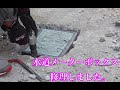 【水道 量水器】ボックス メーター BOX 高さ調整 修理しました。