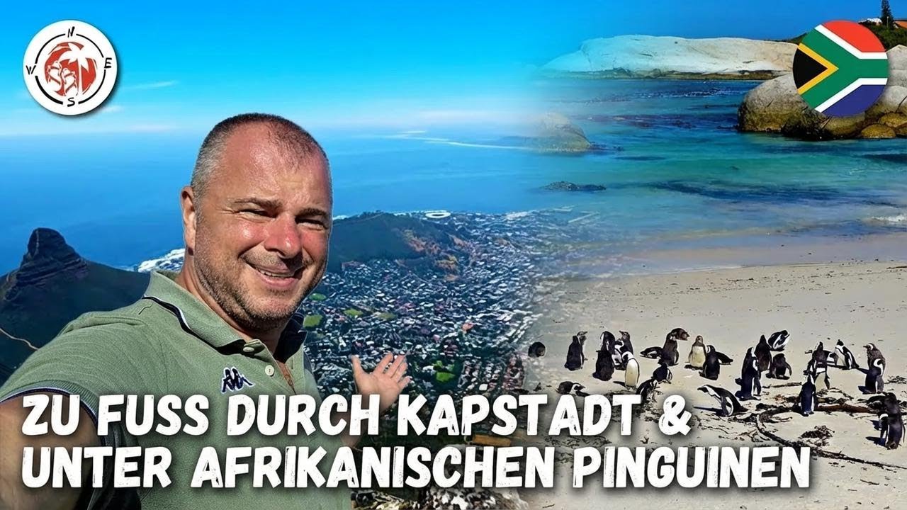 Mit den afrikanischen Pinguinen am Kap der Guten Hoffnung unterwegs – Südafrika hautnah