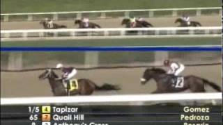 2011 Robert B. Lewis Stakes Profile