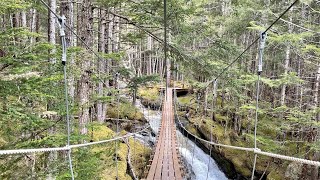 Grizzly Falls Ziplining - Skagway, Alaska