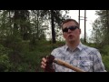 Beginning of video