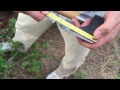 Middle of video