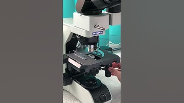 Using the Olympus BX43 microscope, equipped with Microvisioneer software.