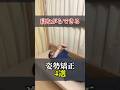 夜寝る前20回で肩甲骨スッキリ!肩こり・姿勢ケアストレッチ