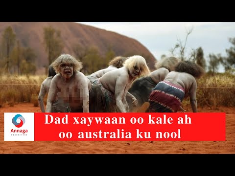 Dad xaywaan oo kale ah oo australia ku nool