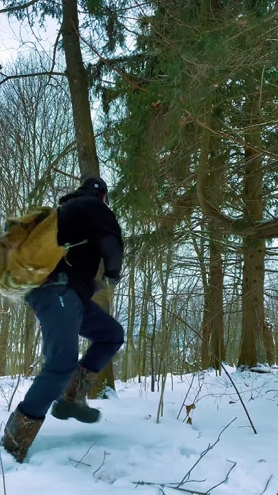 Защита от МЕДВЕДЯ в Лесу 🐻 #шатун #медведь #зима # лес #выживание - YouTube