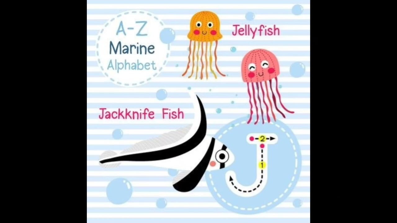 A to Z Marine Alphabet letters song phonics