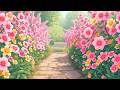 Harmonious Rainforest  Ambient Music for Mindful Work