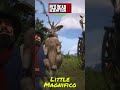 Little Magnifico - Red Dead Redemption 2