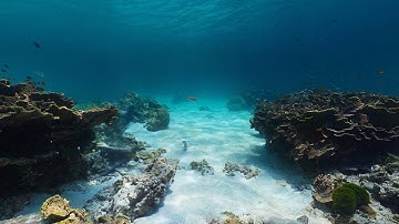 360° video editing with MAGIX Movie Edit Pro 2016 Plus (INT)