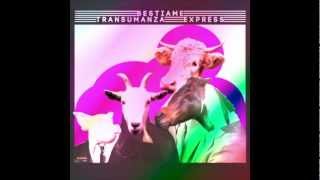 Bestiame - Transumanza Express