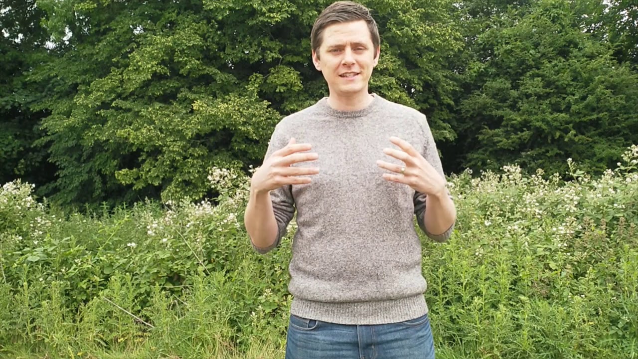 The Tree Of Life - YouTube