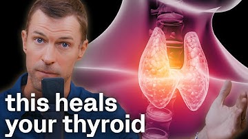 How to Heal Hypothyroidism and Hashimoto