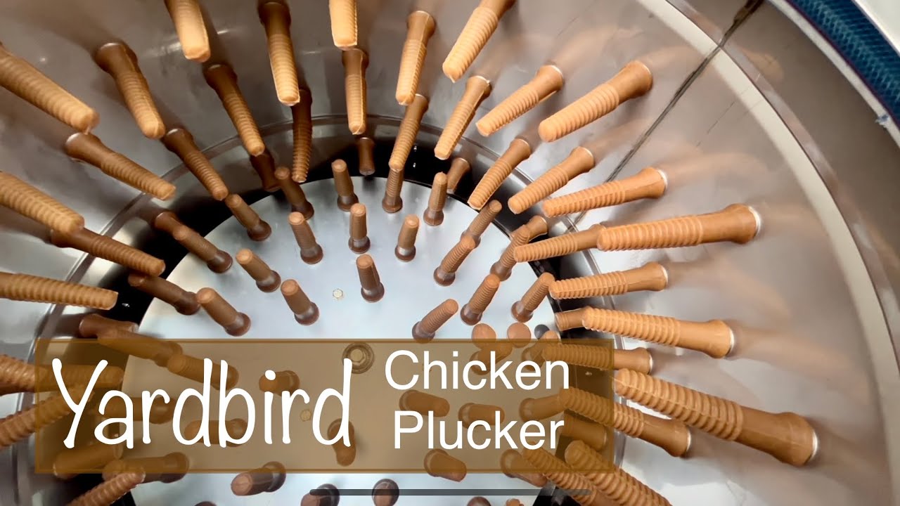 Unboxing The One and Only Yardbird Chicken Plucker | 