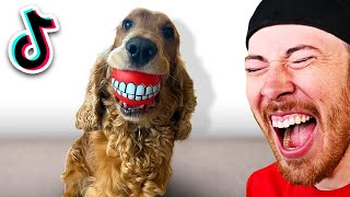 The FUNNIEST TikToks of This Week! (DOG WITH TEETH?)