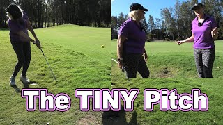 How to play the tiny pitch screenshot 3