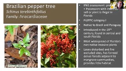 Invasive Species: Episode 01 – Invasive Plants Near You (Part 1 of 2)