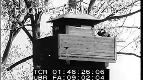 East Berlin - The Wall 221647-05 | Footage Farm