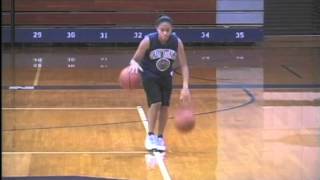 Jessica Fields Basketball Highlight Video Information