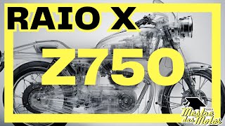 Manual de Serviços da Kawasaki Z750 | Raio-X das Motos por Mestre
