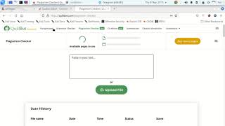 Quillbot Premium Cookies update April 2022 screenshot 3