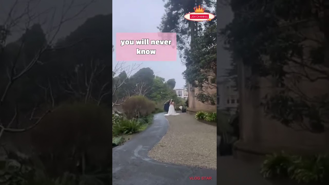 BEAUTIFUL Palace of Fine ARTS - Motivational Quotes - If You are Always 