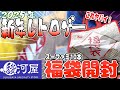 【2025年福袋開封】毎年楽しみな新年レトロゲーム福袋！爆アドあるか！？【レトロゲー】
