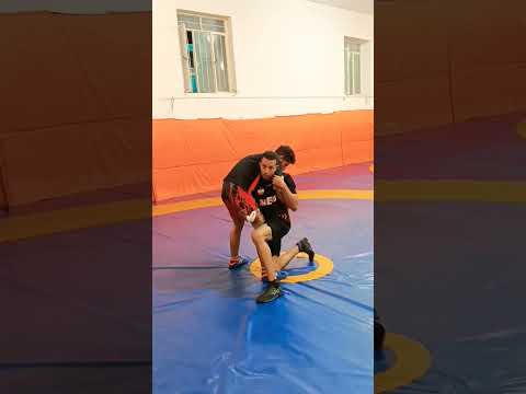 یکدست یکپا ایران کشتی مازندران کشتی آزاد کرمان رفسنجان آموزش قهرمان کامران قاسمپور تلاش