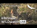 WILDwatch Live | 07 September 2020 | Afternoon Safari |