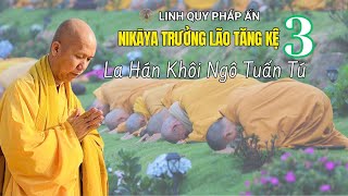 NIKAYA Trưởng Lão Tăng Kệ 3 - La Hán Khôi Ngô Tuấn Tú