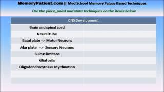 CNS Development 01: Memory Patient Assignment