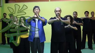 Liuhe Tanglang Quan Volume 1