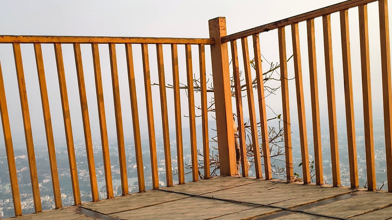 Raj Ninja vlogs  is live good morning 🌞🌄 Kanker city king 👑🌆🏙️