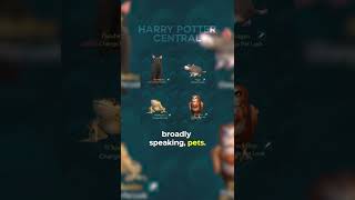 Did You Know This About Familiars In HARRY POTTER…