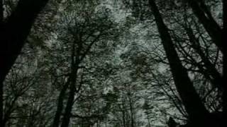 video sulle bellezze del Parco Nazionale delle Foreste Casentinesi ...