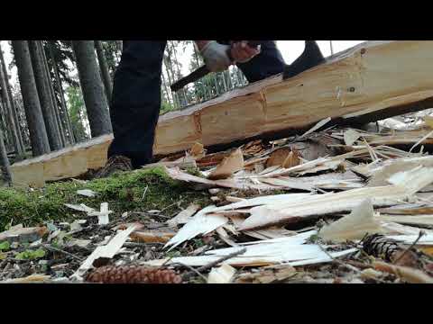 Video: Ako Sa Vyrábajú šišky Z Lesných Húb