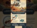 The Glass Ant Miracle: Why the Quran said "Crushed" 🐜 #shorts