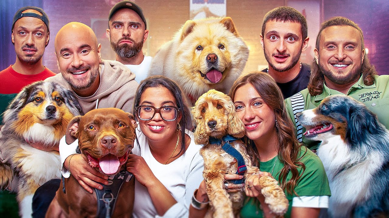 Les rencontrent de chiens feat Max Biaggi, Styleto, Kyan, Melha et Tony