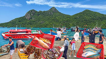 Côn Đảo Mùa Đẹp Nhất Trong Năm | Hòn Đảo Toàn Hải Sản Tươi Sống Giá Trị Cao