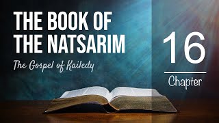 The Book of the Natsarim | Restored Names Version | Chapter 16