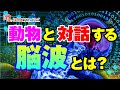 アニマルコミュニケーターが明かす、動物と対話するための方法