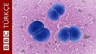 Menenjitin Belirtileri Nelerdir, Nasıl Bulaşır?